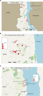 Persistently High Incidences of Trypanosoma brucei rhodesiense Sleeping Sickness With Contrasting Focus-Dependent Clinical Phenotypes in Malawi